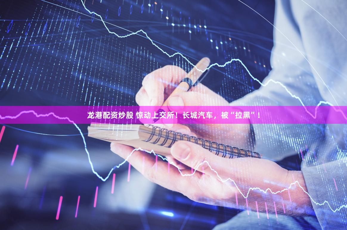 龙港配资炒股 惊动上交所！长城汽车，被“拉黑”！